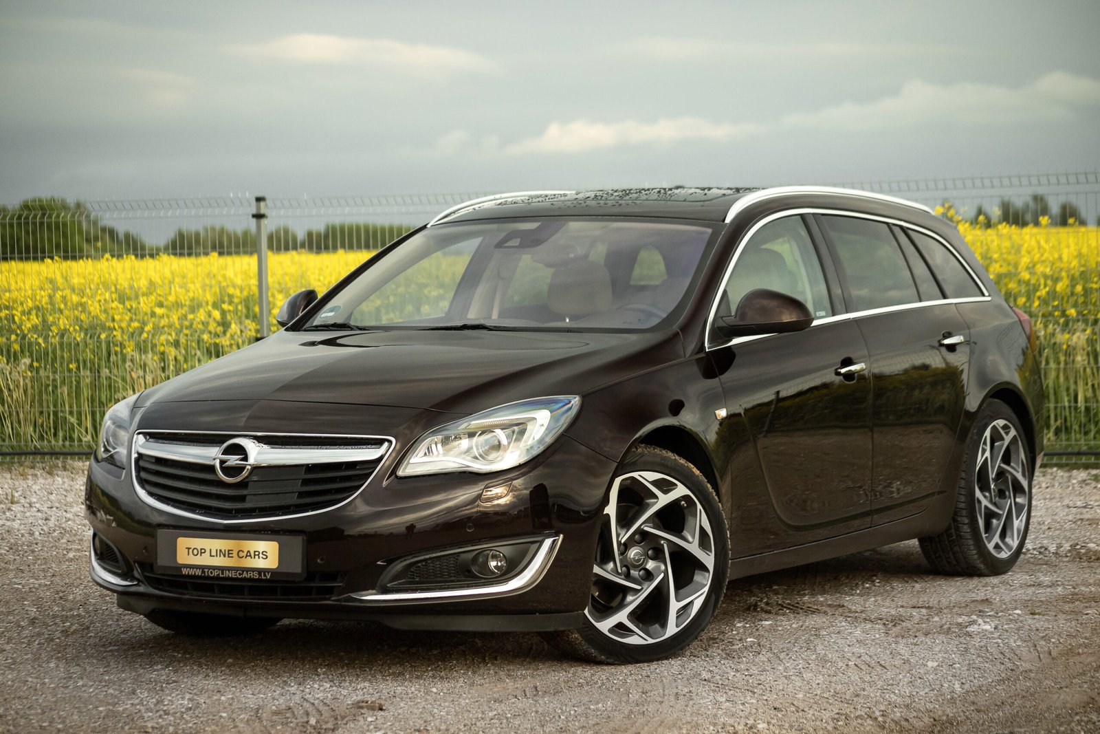 
								OPEL INSIGNIA COSMO 2.0D 125 KW FACELIFT full									
