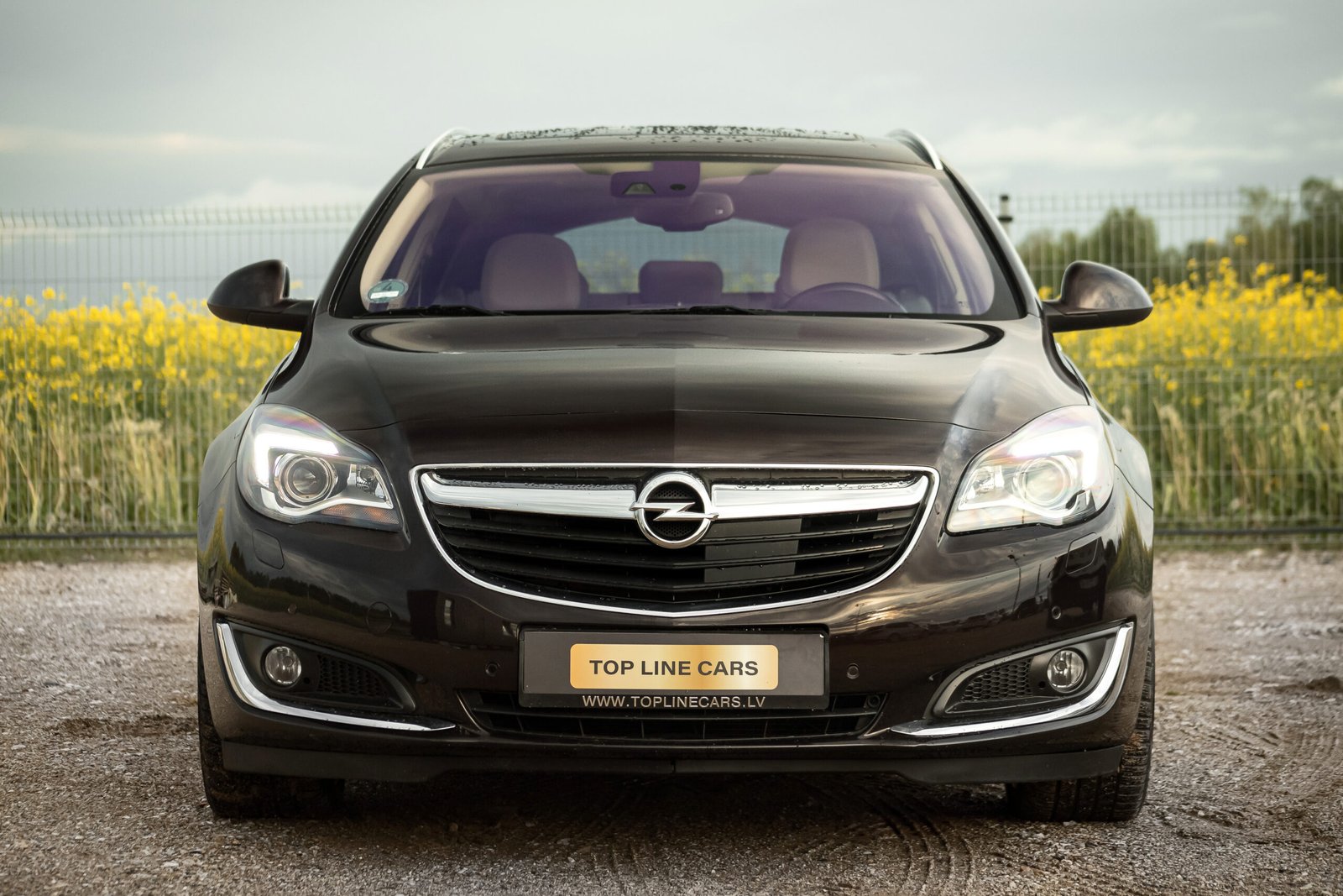 
								OPEL INSIGNIA COSMO 2.0D 125 KW FACELIFT full									