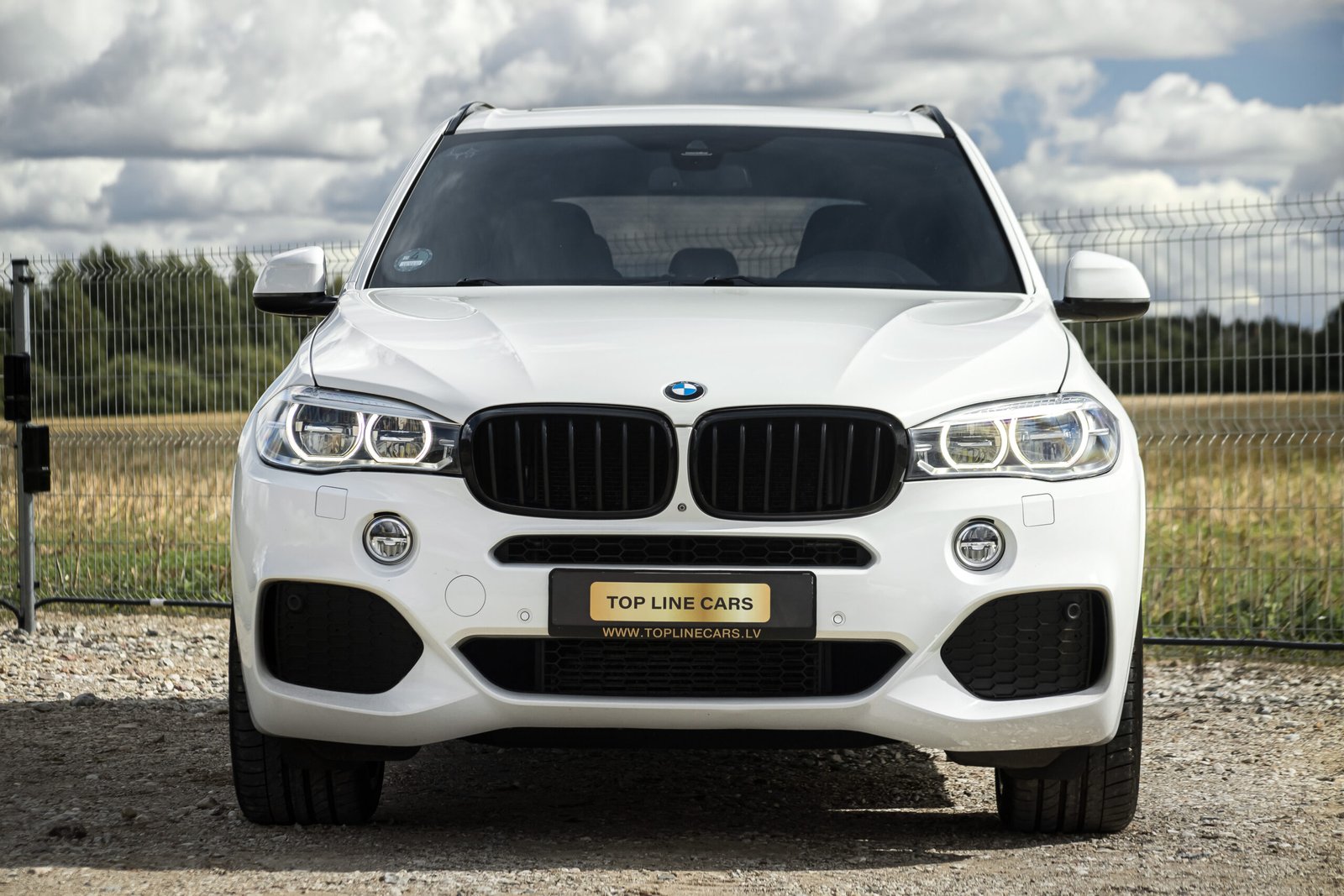 
								BMW X5 F15 3.0D 230KW M-SPORTPAKET full									