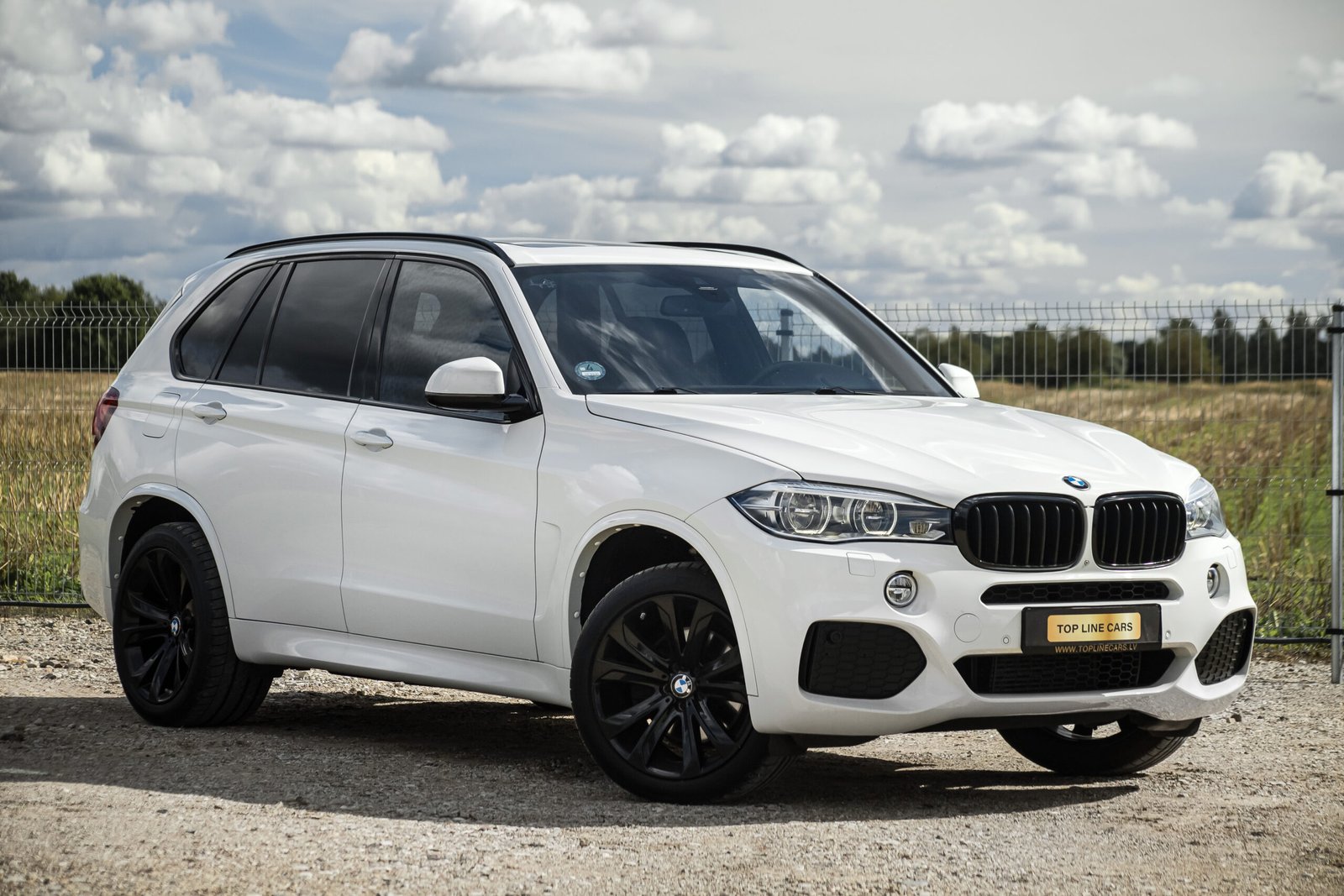 
								BMW X5 F15 3.0D 230KW M-SPORTPAKET full									