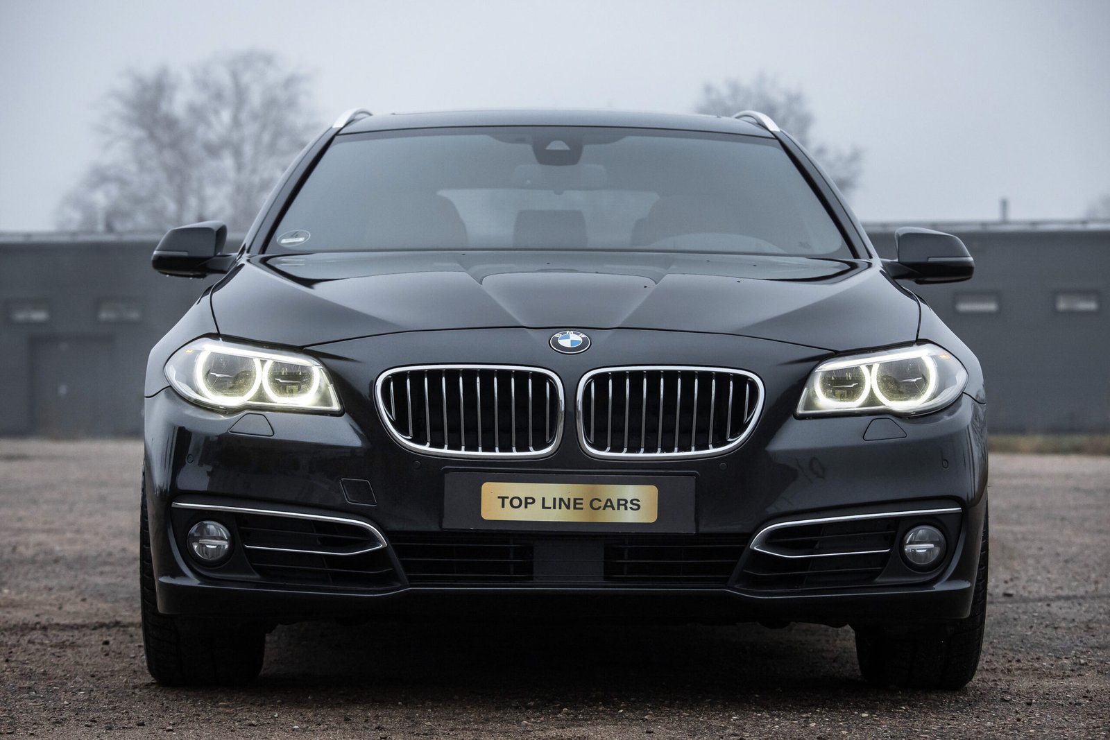 
								BMW INDIVIDUAL F11 530D 30D 190KW FACELIFT full									