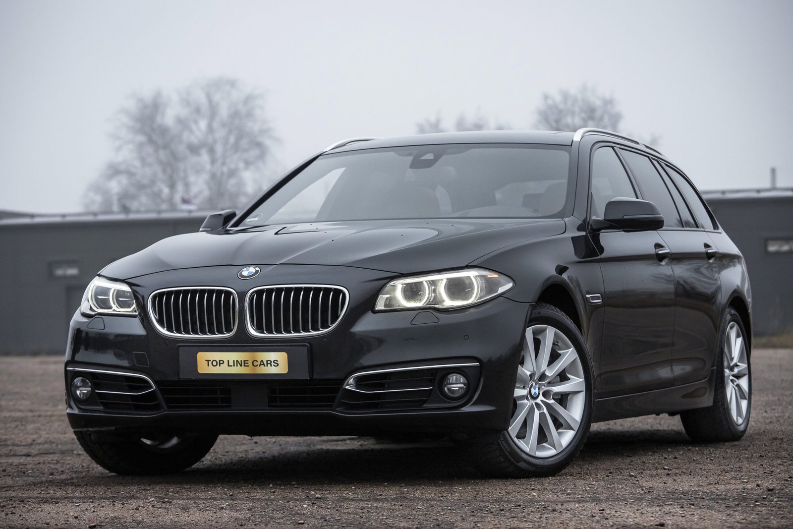 
								BMW INDIVIDUAL F11 530D 30D 190KW FACELIFT full									