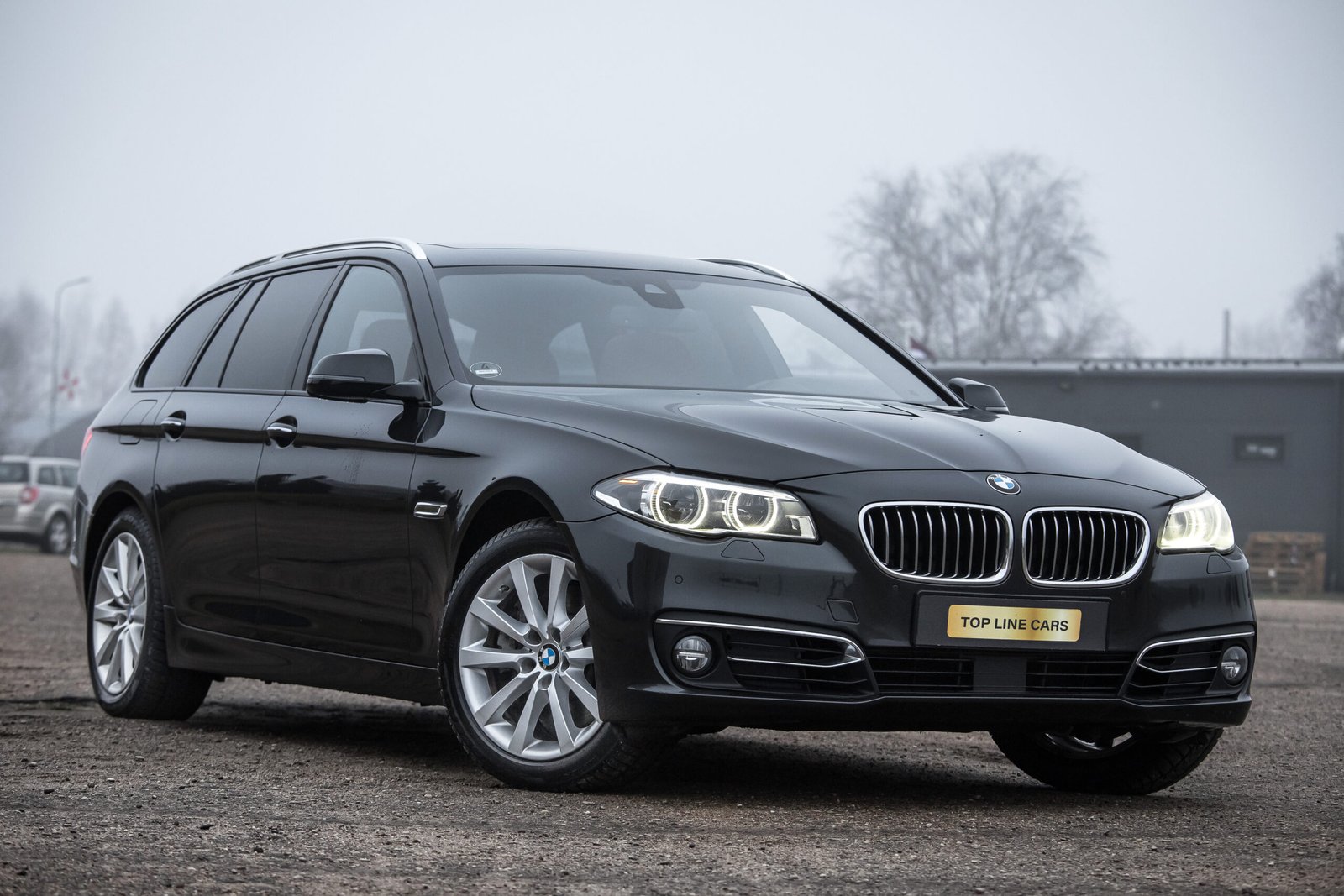 
								BMW INDIVIDUAL F11 530D 30D 190KW FACELIFT full									