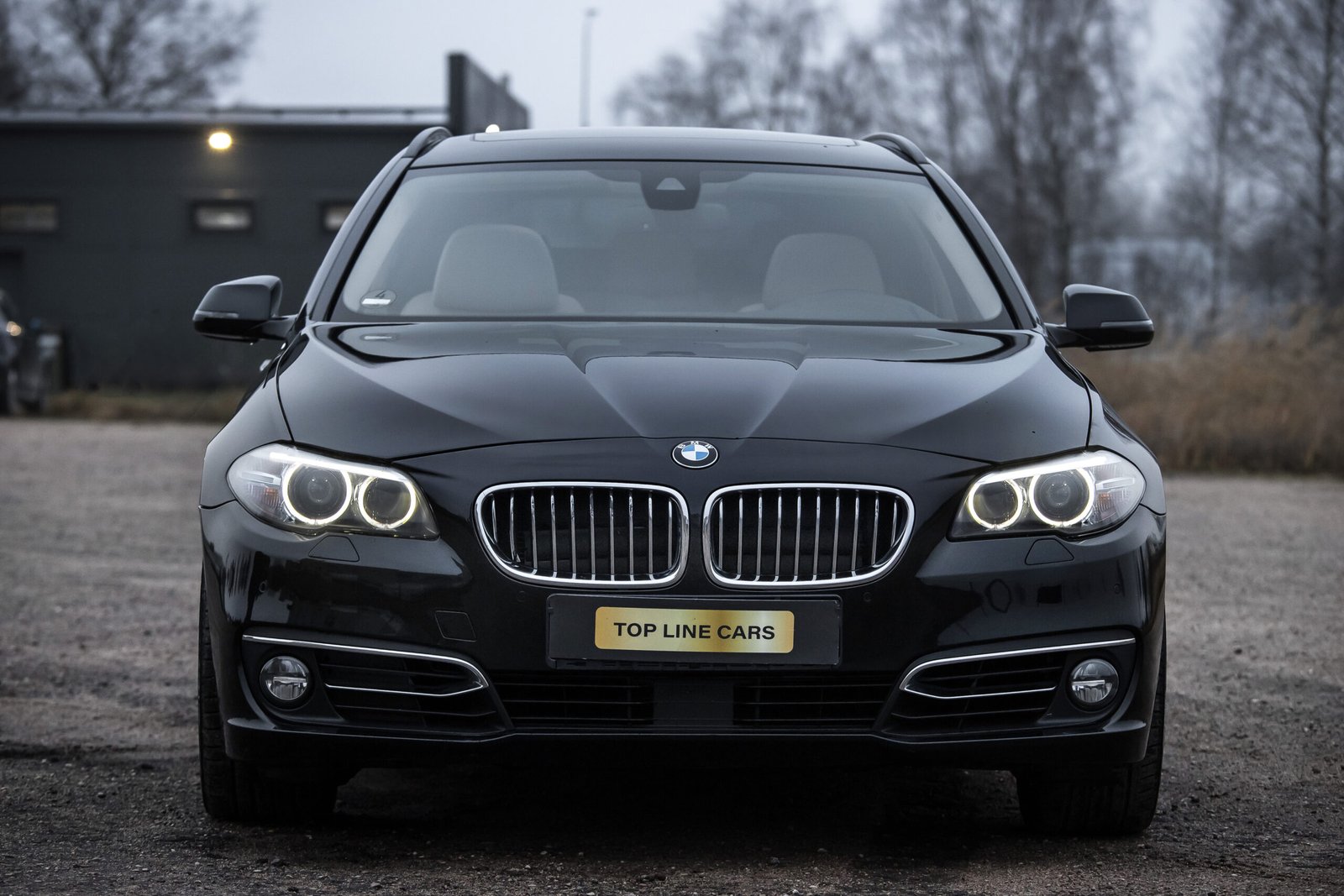 
								BMW  F11 525D X-Drive 2.0D 25D 160KW FACELIFT full									