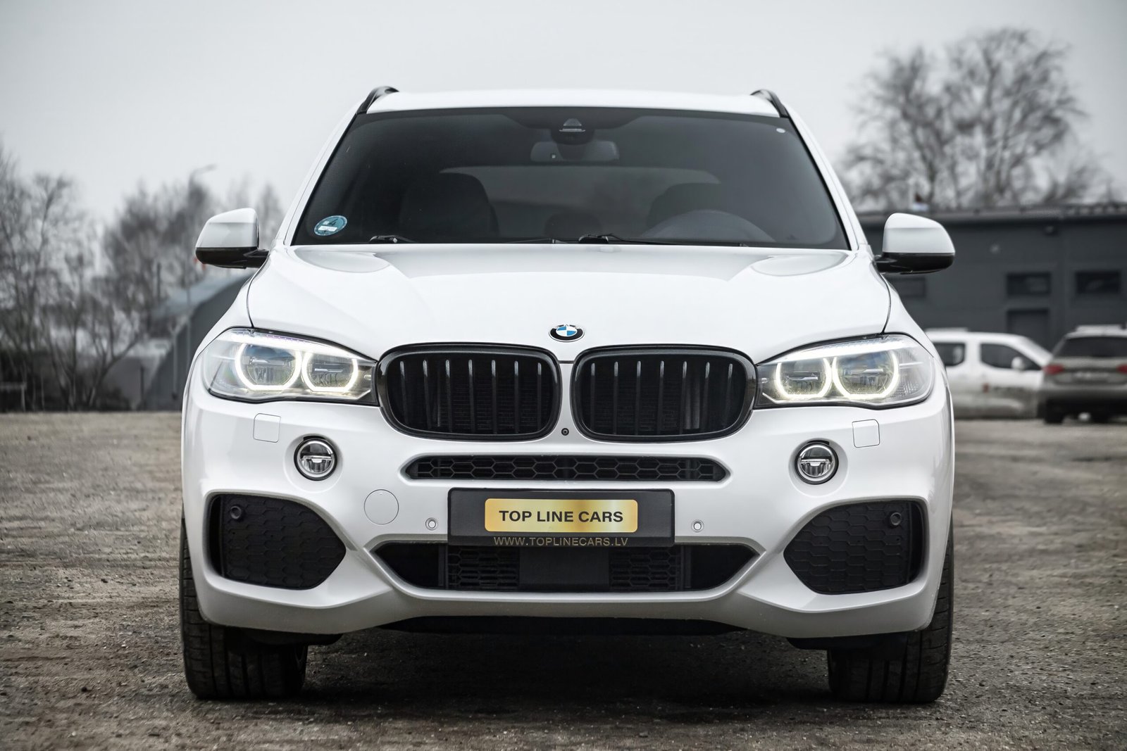 
								BMW X5 F15 3.0D 40D 230KW M-SPORTPAKET full									