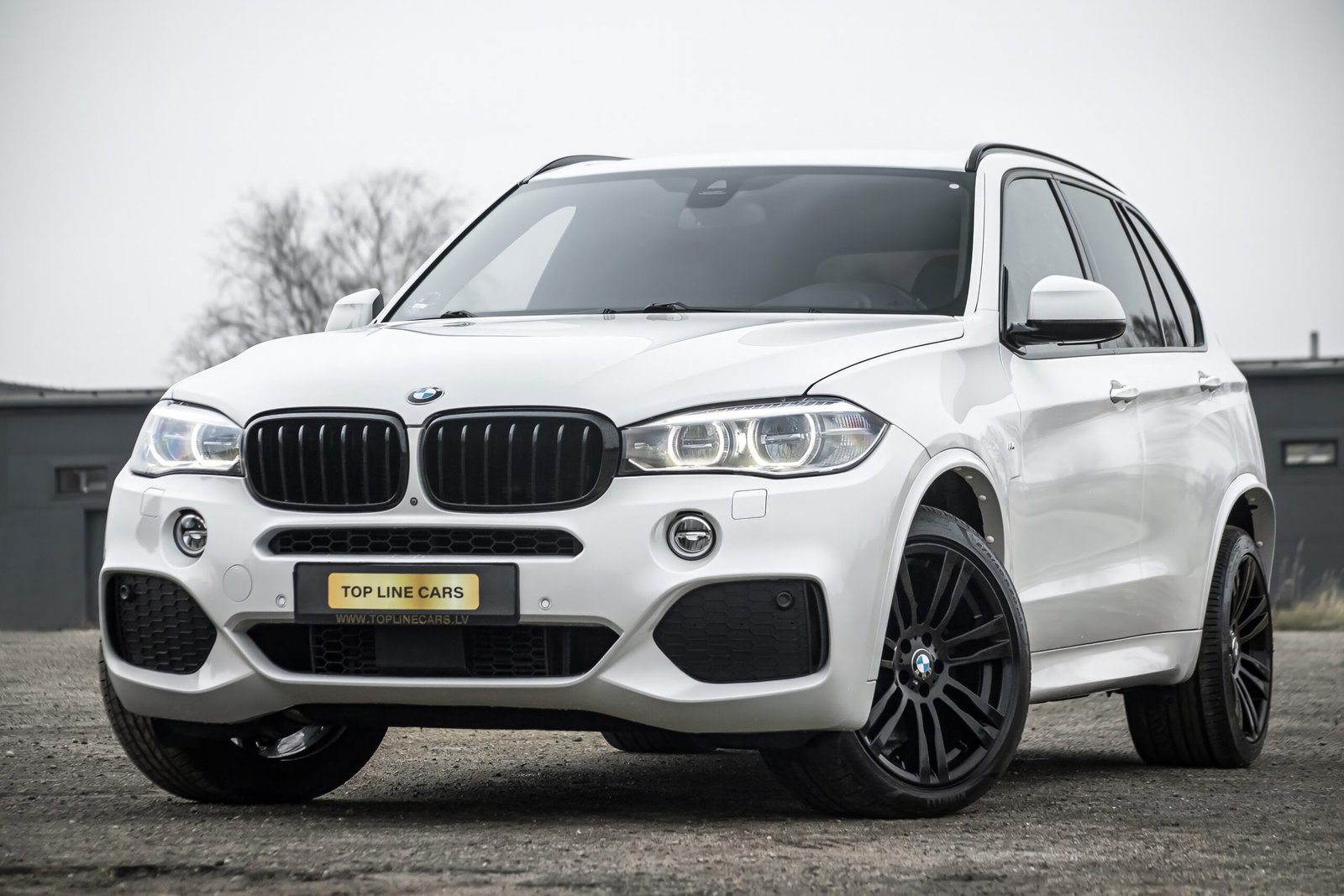 
								BMW X5 F15 3.0D 40D 230KW M-SPORTPAKET full									