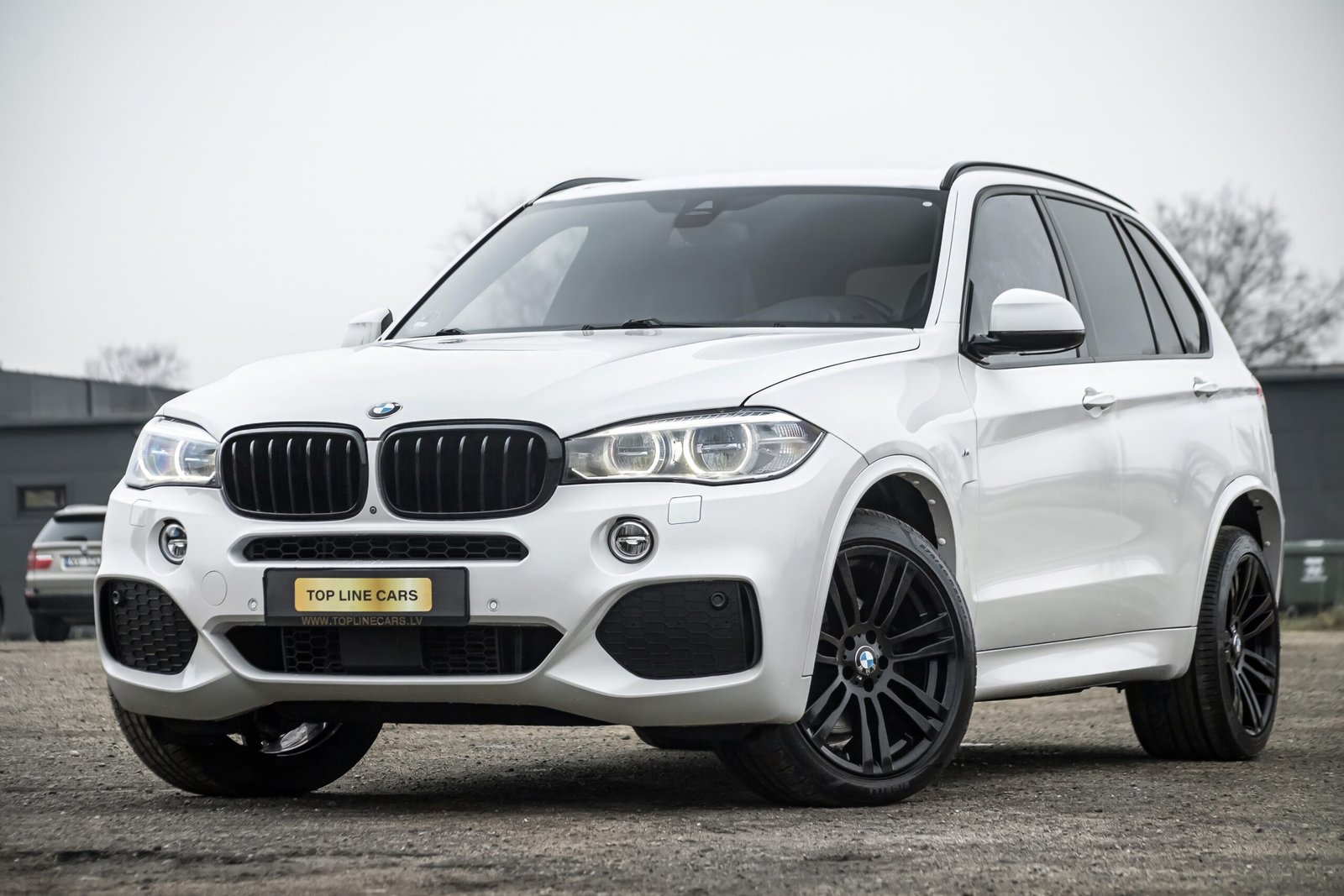 
								BMW X5 F15 3.0D 40D 230KW M-SPORTPAKET full									