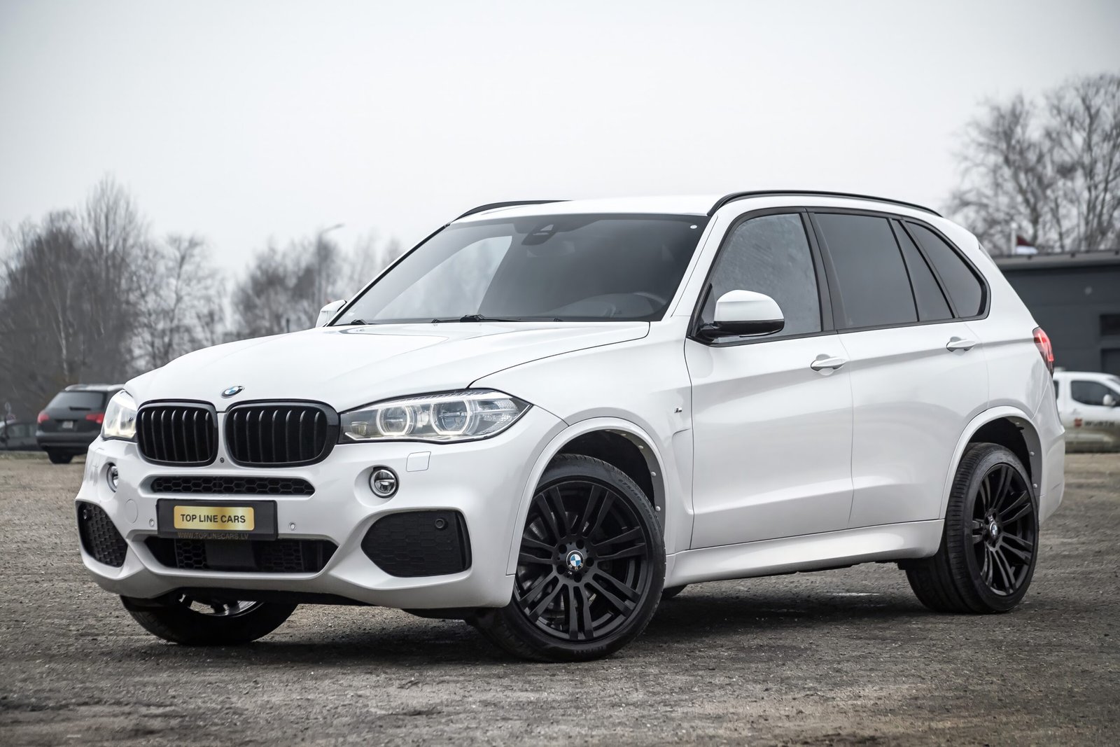 
								BMW X5 F15 3.0D 40D 230KW M-SPORTPAKET full									