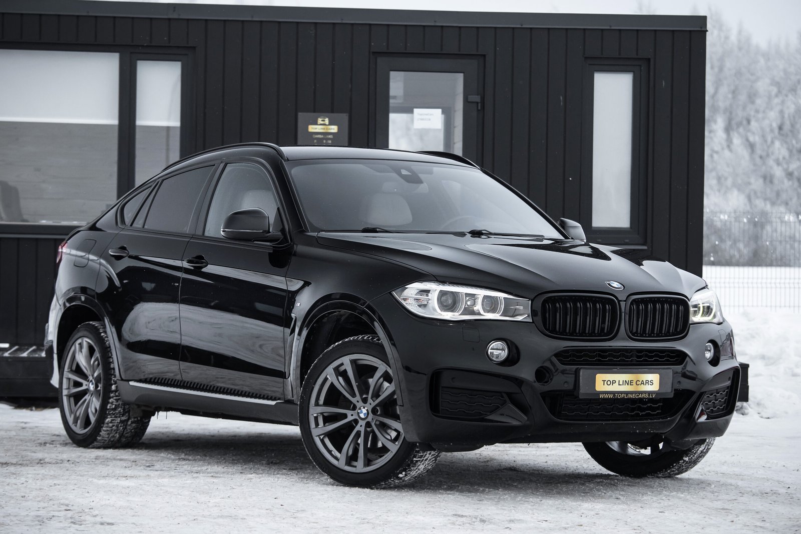 
								BMW X6 3.0D 190KW F16 M-SPORPAKET full									